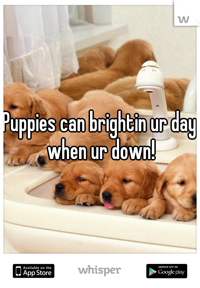 Puppies can brightin ur day when ur down!