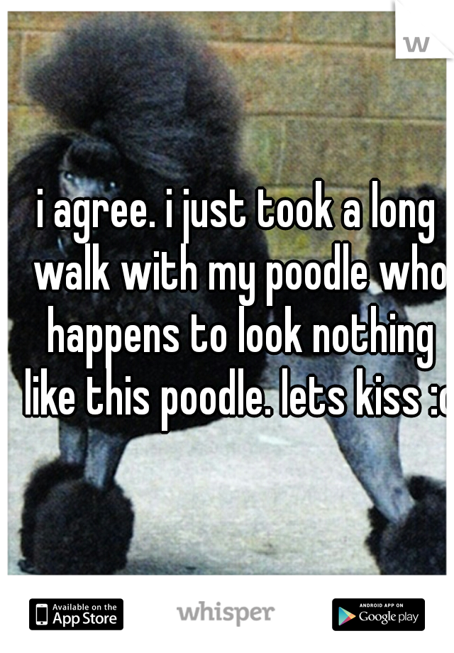 i agree. i just took a long walk with my poodle who happens to look nothing like this poodle. lets kiss :o