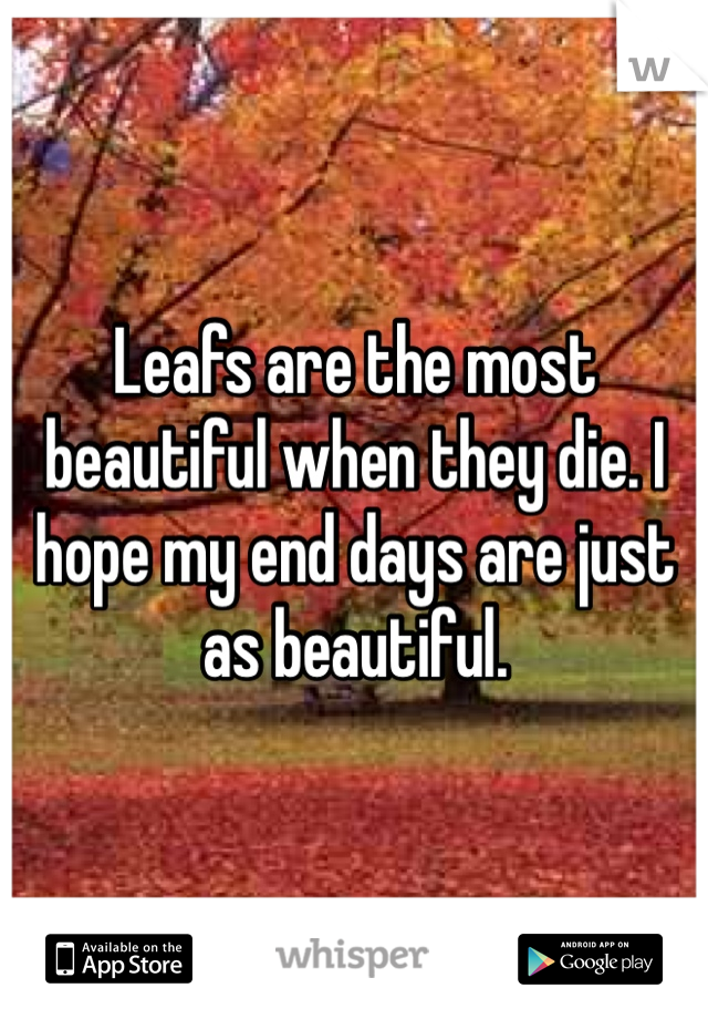 Leafs are the most beautiful when they die. I hope my end days are just as beautiful. 