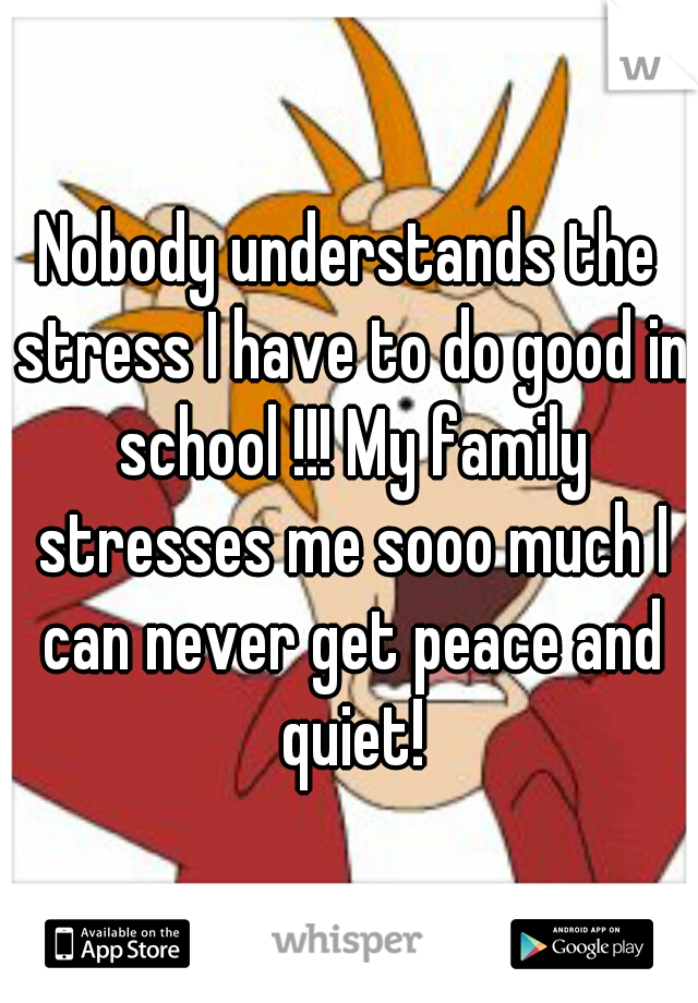 Nobody understands the stress I have to do good in school !!! My family stresses me sooo much I can never get peace and quiet!