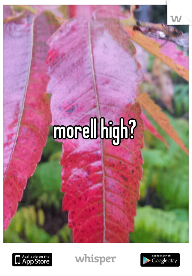 morell high?