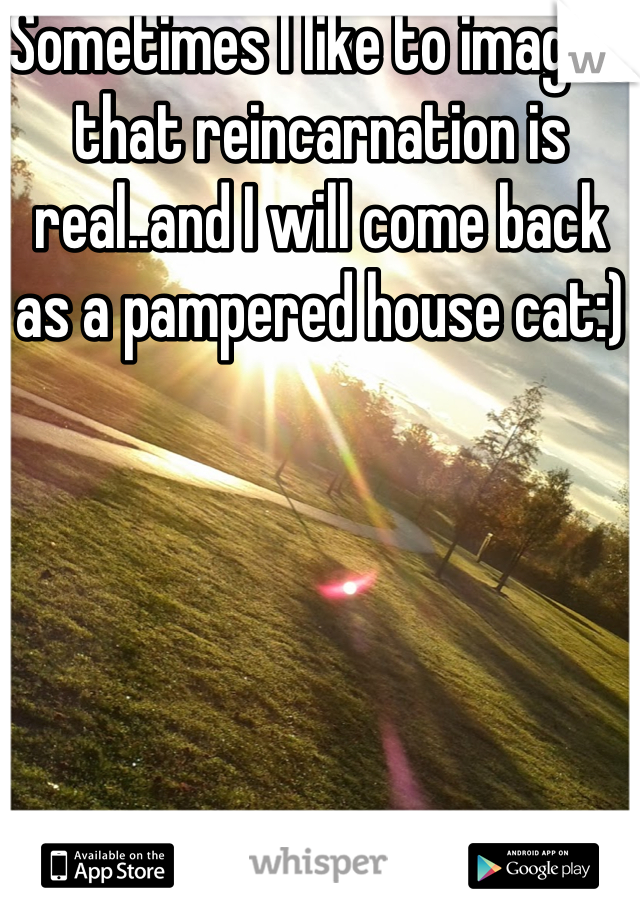 Sometimes I like to imagine that reincarnation is real..and I will come back as a pampered house cat:) 