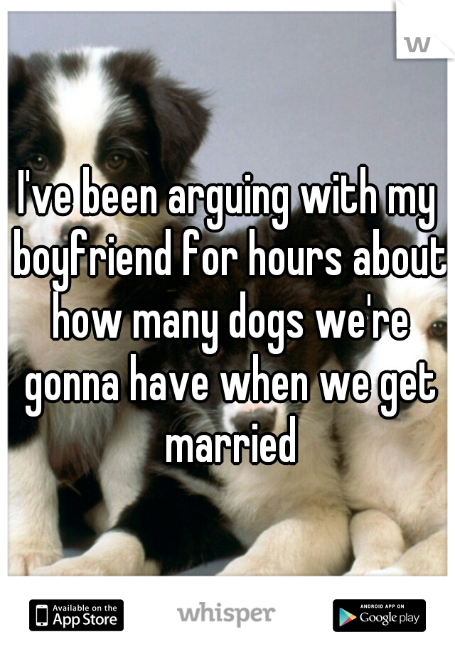 I've been arguing with my boyfriend for hours about how many dogs we're gonna have when we get married