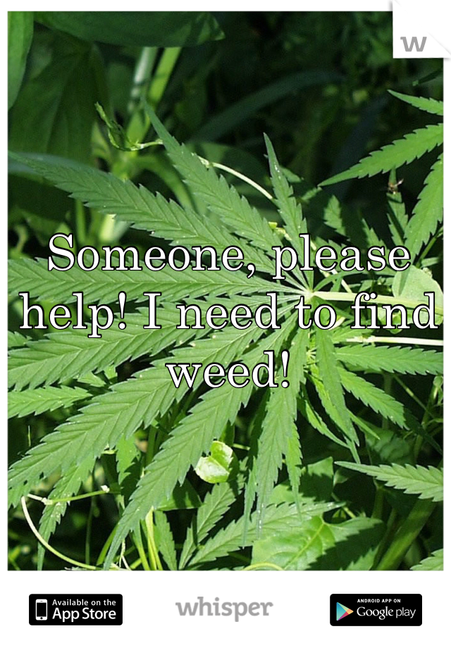 Someone, please help! I need to find weed! 