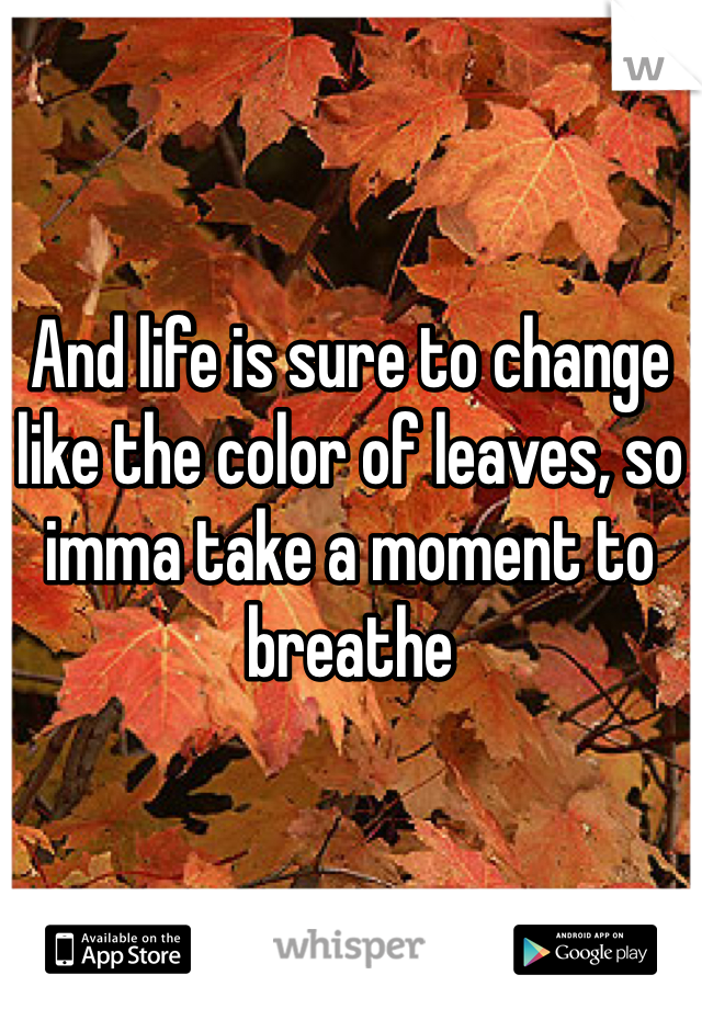 And life is sure to change like the color of leaves, so imma take a moment to breathe