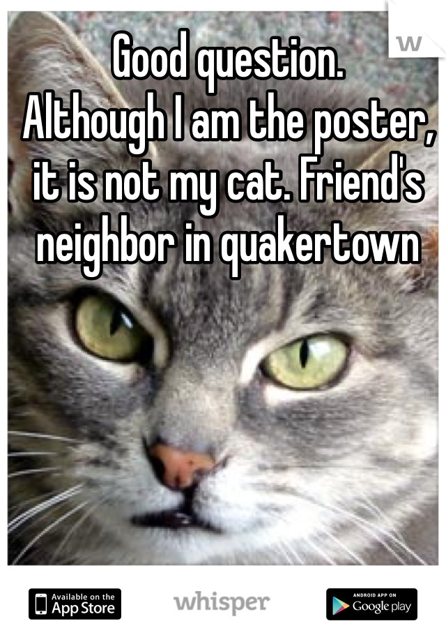 Good question. 
Although I am the poster, it is not my cat. Friend's neighbor in quakertown 