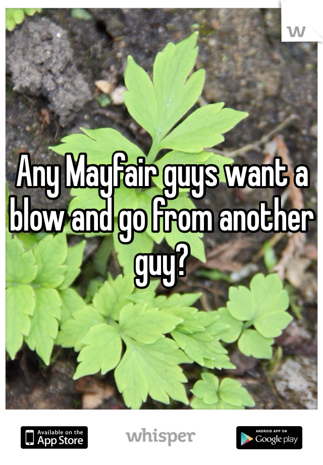 Any Mayfair guys want a blow and go from another guy?