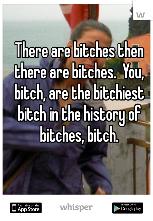 There are bitches then there are bitches.  You, bitch, are the bitchiest bitch in the history of bitches, bitch.