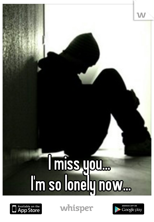 I miss you...
 I'm so lonely now...