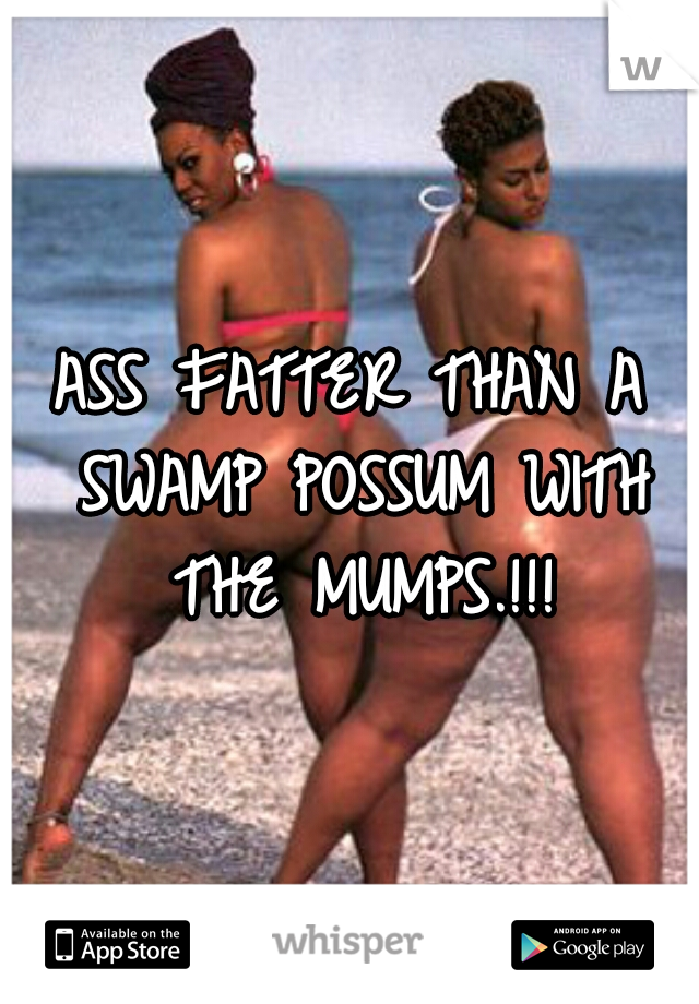 ASS FATTER THAN A SWAMP POSSUM WITH THE MUMPS.!!!