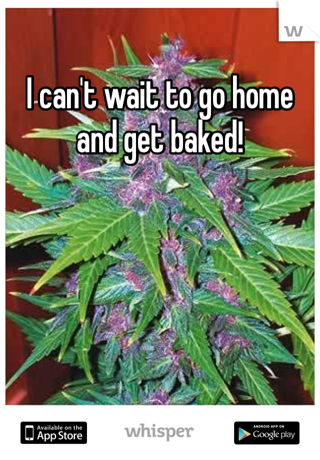 I can't wait to go home and get baked! 