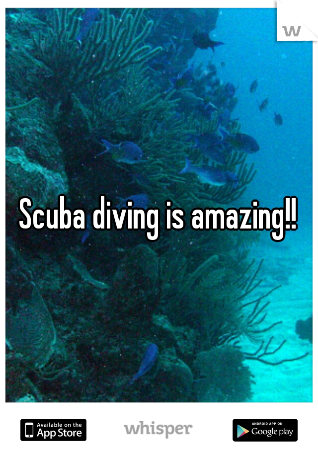 Scuba diving is amazing!!