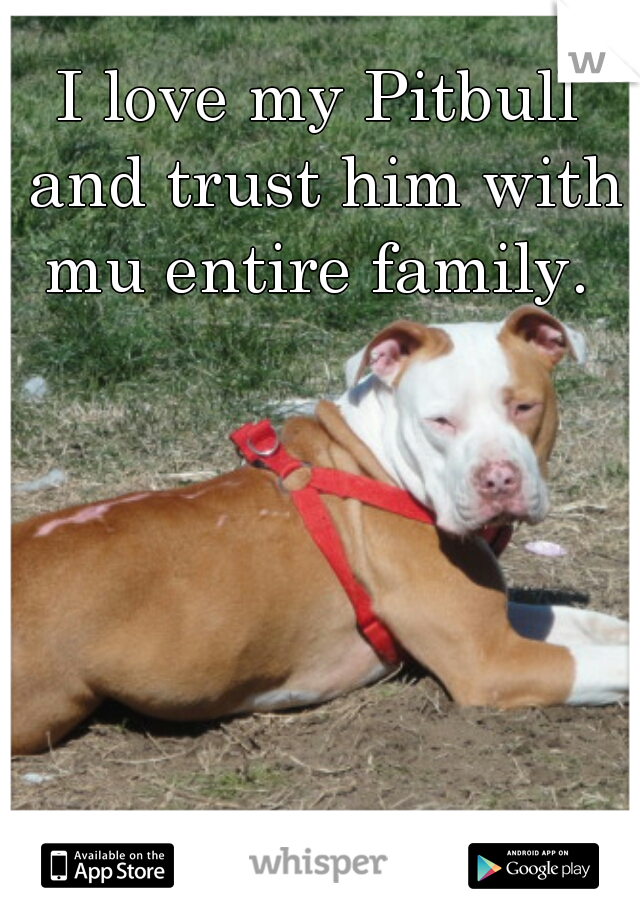 I love my Pitbull and trust him with mu entire family. 