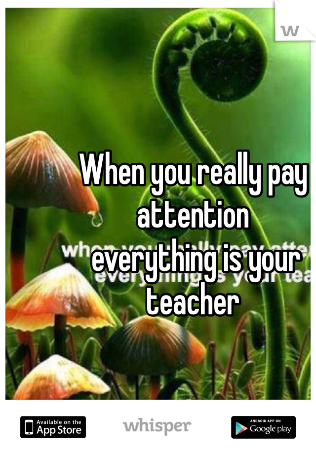 When you really pay attention
 everything is your teacher