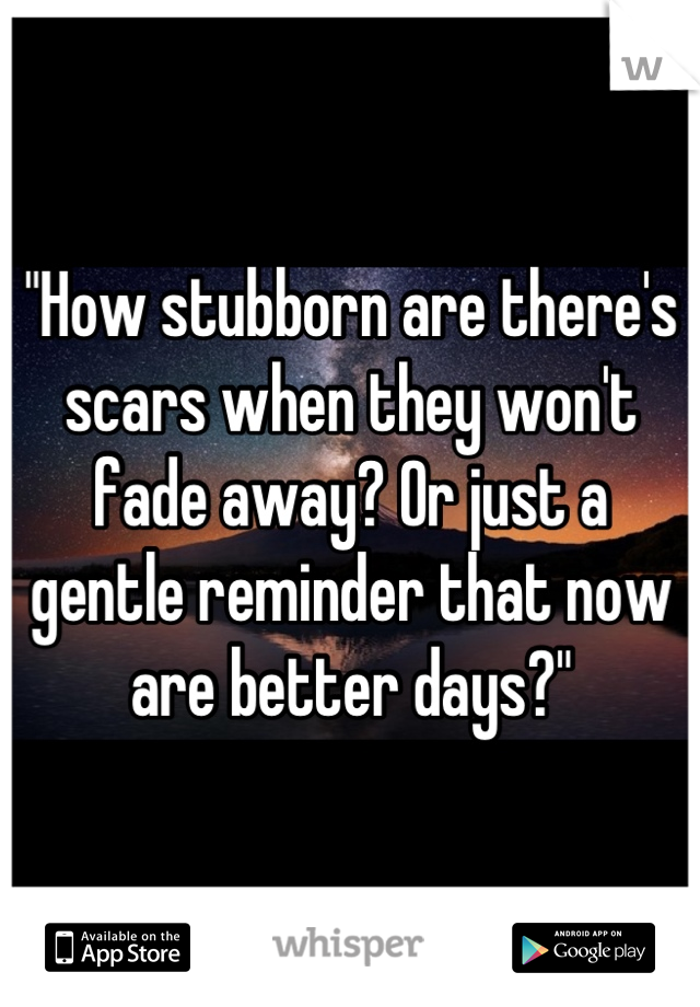 "How stubborn are there's scars when they won't fade away? Or just a gentle reminder that now are better days?"