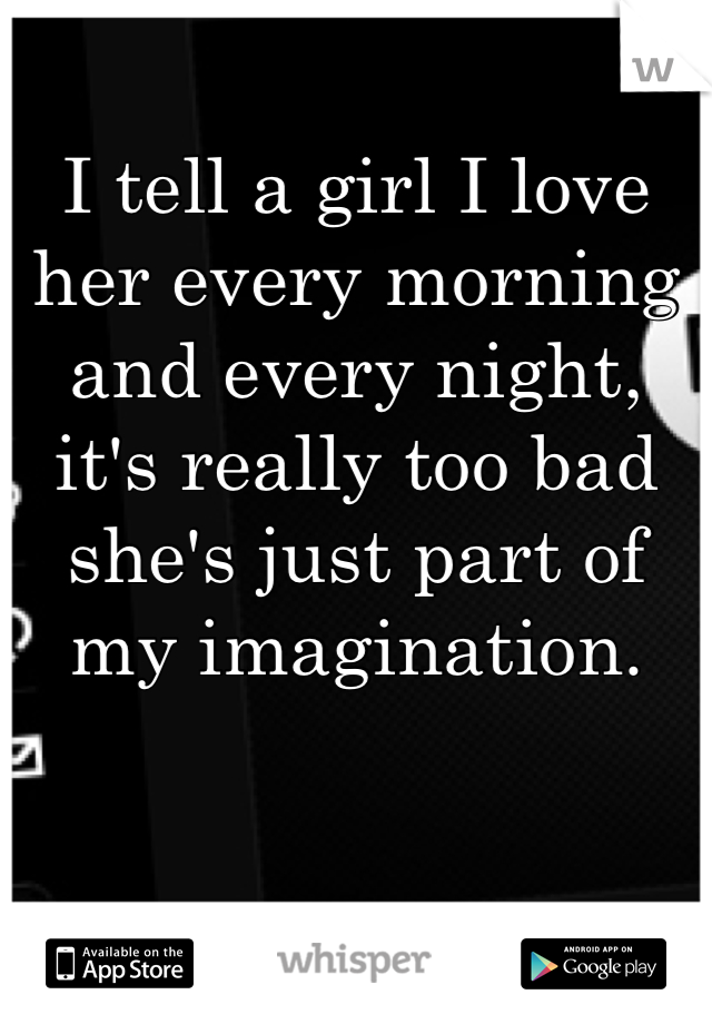 I tell a girl I love her every morning and every night, it's really too bad she's just part of my imagination.