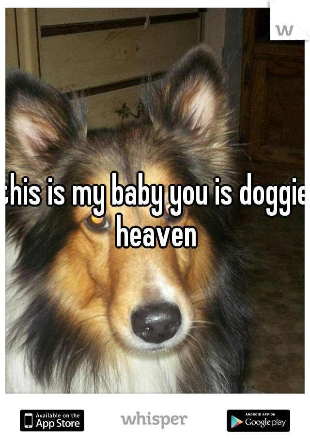 this is my baby you is doggie heaven