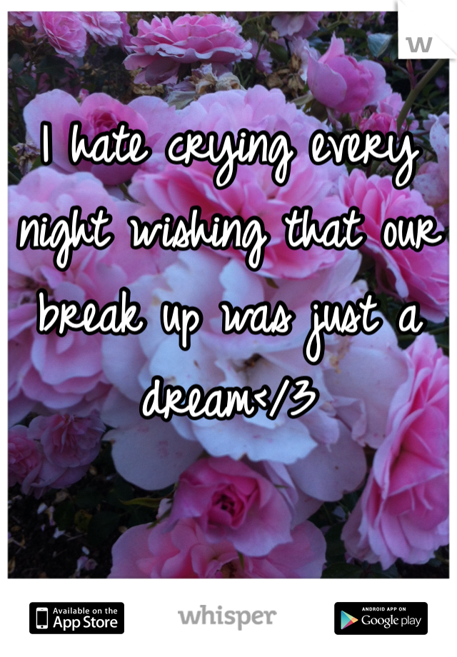 I hate crying every night wishing that our break up was just a dream</3