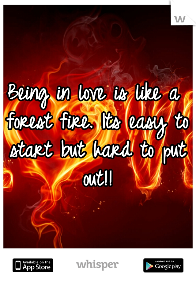 Being in love is like a forest fire. Its easy to start but hard to put out!!