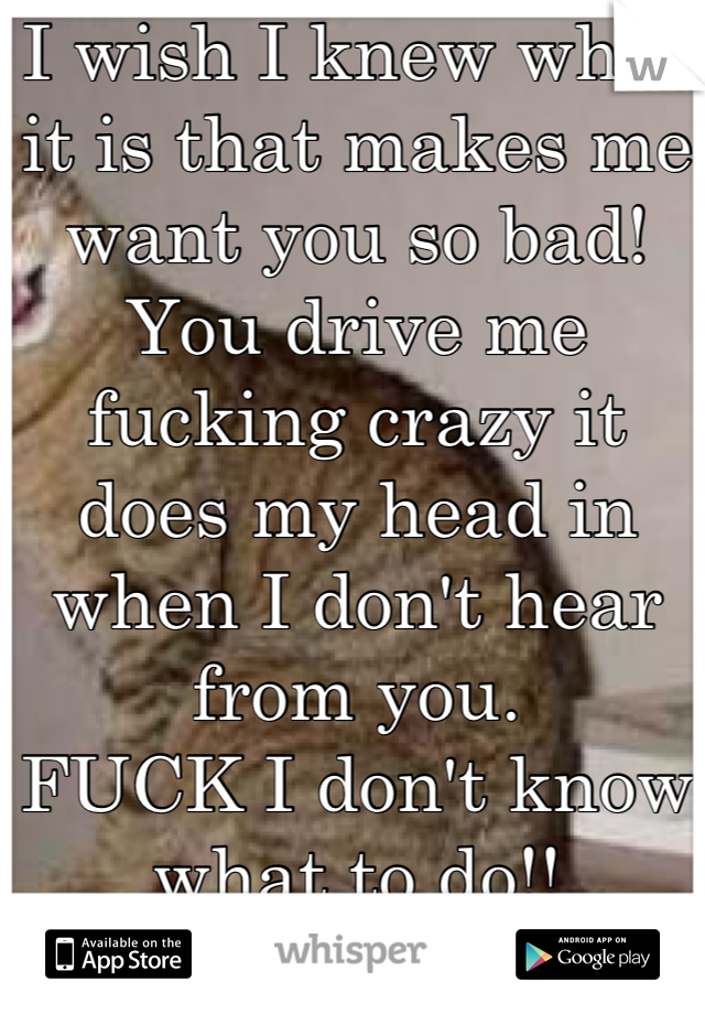 I wish I knew what it is that makes me want you so bad!
You drive me fucking crazy it does my head in when I don't hear from you.
FUCK I don't know what to do!!