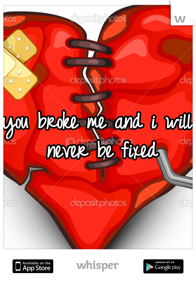 you broke me and i will never be fixed