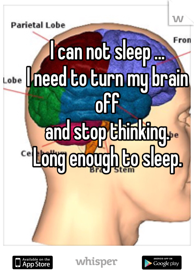 I can not sleep ... 
I need to turn my brain off 
and stop thinking. 
Long enough to sleep. 