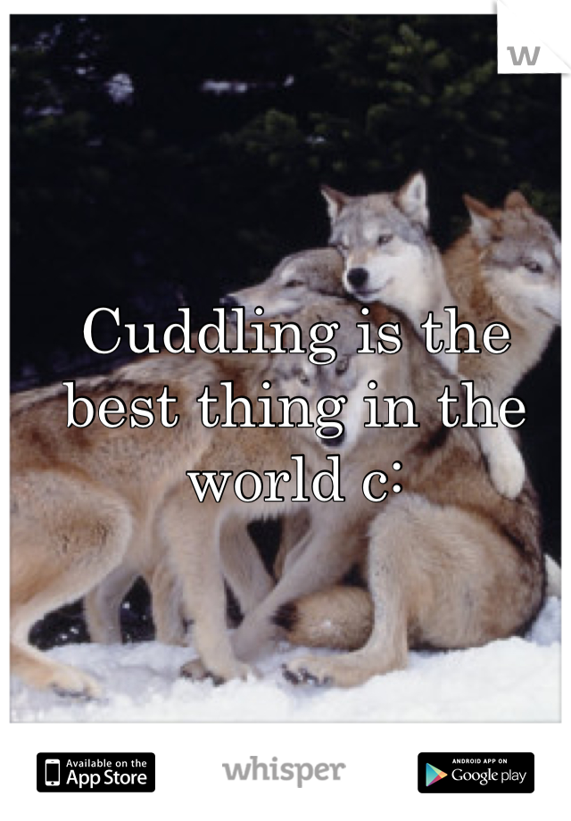 Cuddling is the best thing in the world c: