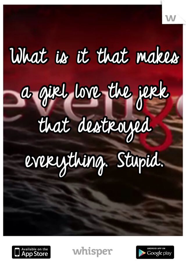 What is it that makes a girl love the jerk that destroyed everything. Stupid. 