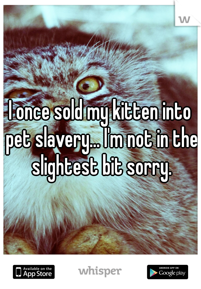 I once sold my kitten into pet slavery... I'm not in the slightest bit sorry.