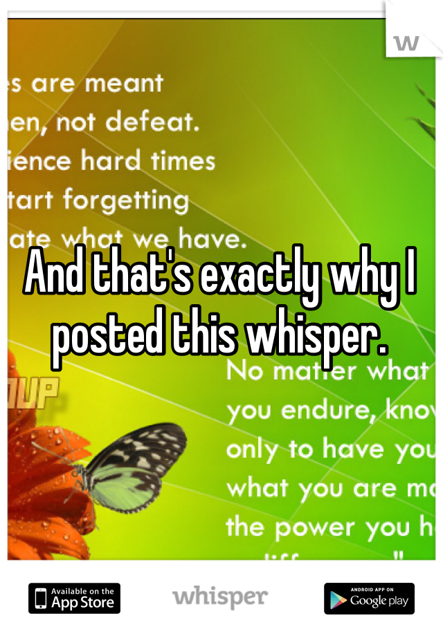 And that's exactly why I posted this whisper. 