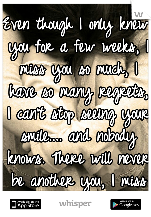 Even though I only knew you for a few weeks, I miss you so much, I have so many regrets, I can't stop seeing your smile....
and nobody knows.
There will never be another you, I miss you...