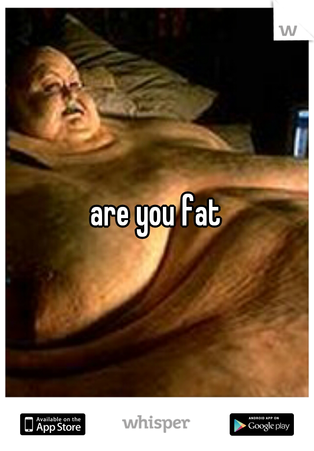 are you fat