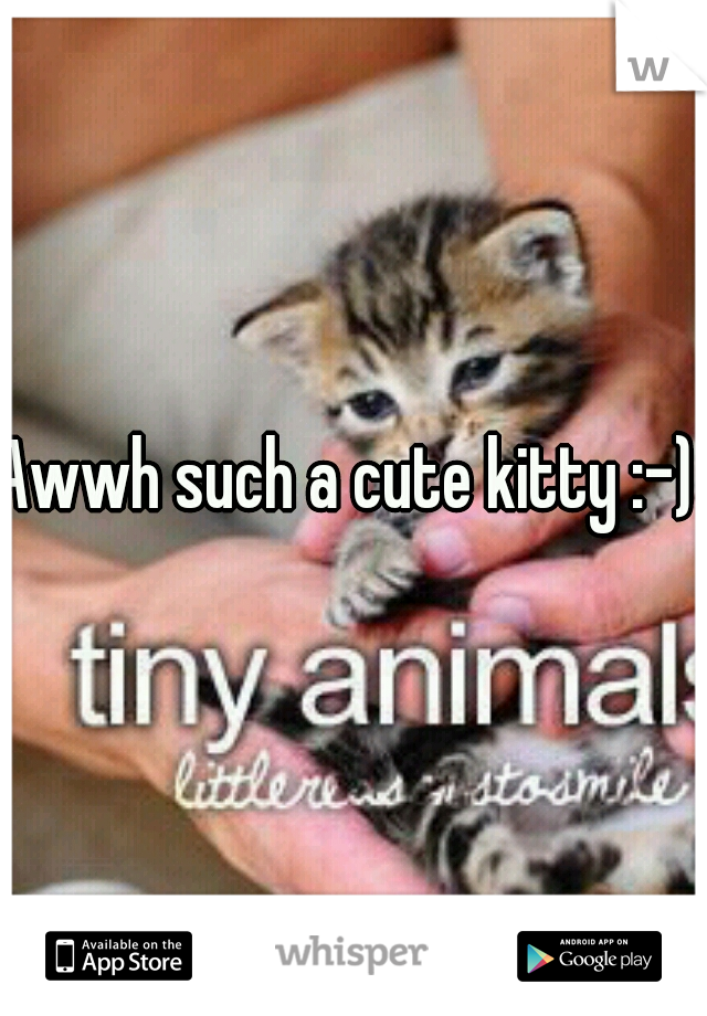 Awwh such a cute kitty :-) 