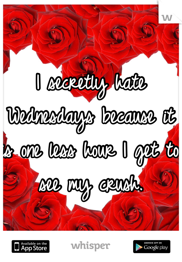 I secretly hate Wednesdays because it is one less hour I get to see my crush.