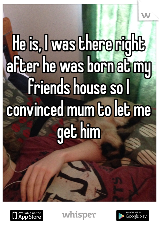 He is, I was there right after he was born at my friends house so I convinced mum to let me get him 