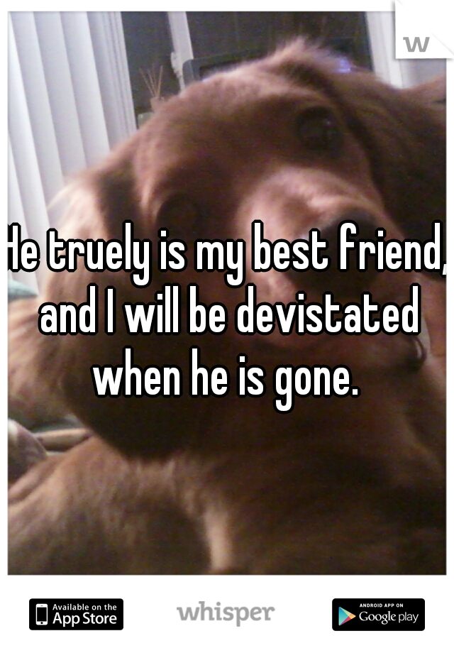 He truely is my best friend, and I will be devistated when he is gone. 