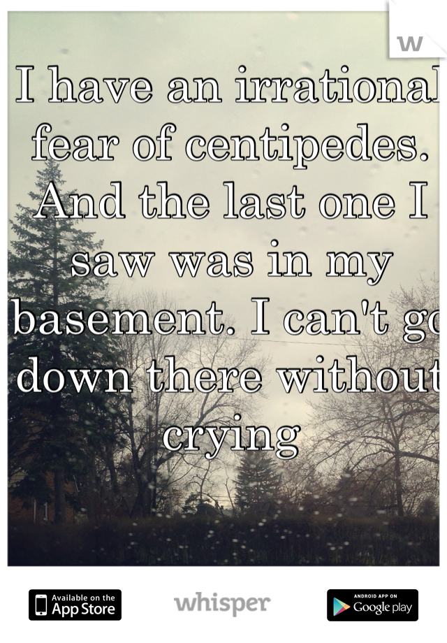 I have an irrational fear of centipedes. And the last one I saw was in my basement. I can't go down there without crying