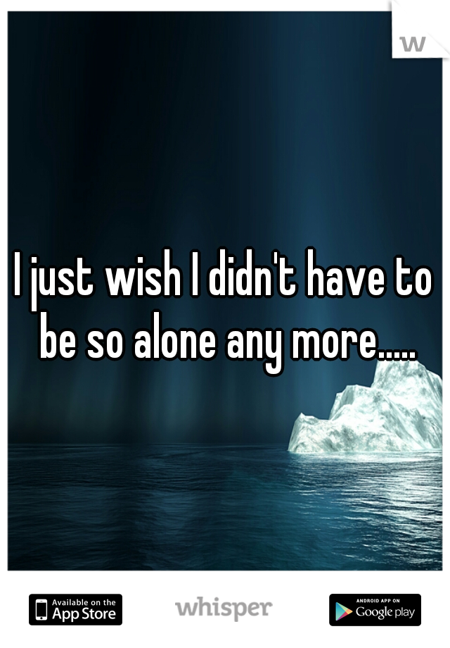 I just wish I didn't have to be so alone any more.....