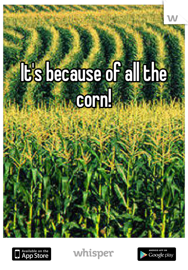 It's because of all the corn!