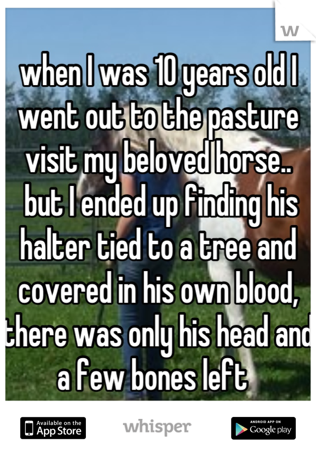 when I was 10 years old I went out to the pasture visit my beloved horse..
 but I ended up finding his halter tied to a tree and covered in his own blood, there was only his head and a few bones left  