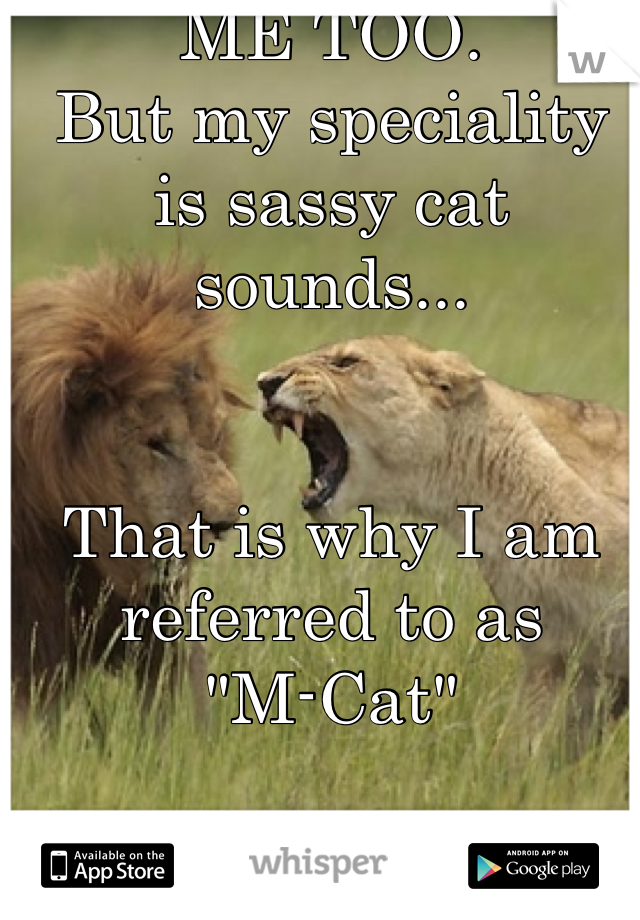 ME TOO.
But my speciality is sassy cat sounds...


That is why I am referred to as
"M-Cat"

MEOW!