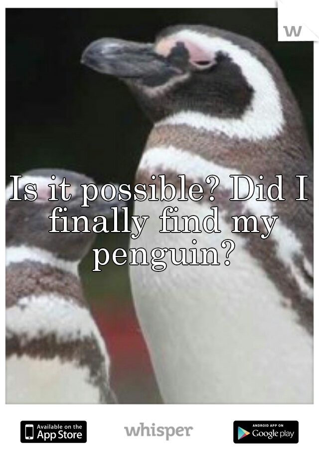 Is it possible? Did I finally find my penguin?