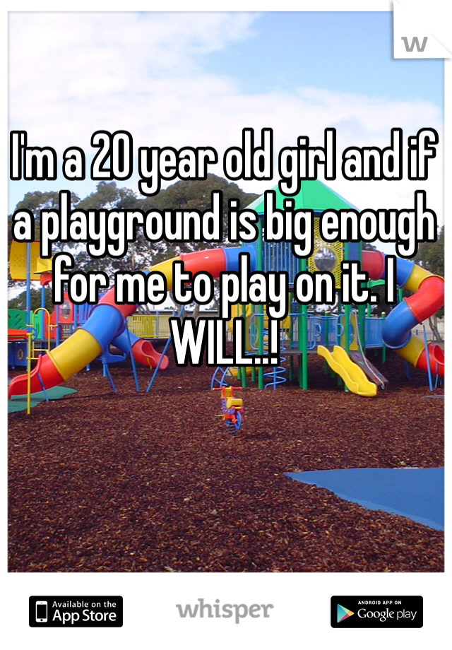 I'm a 20 year old girl and if a playground is big enough for me to play on it. I WILL..! 