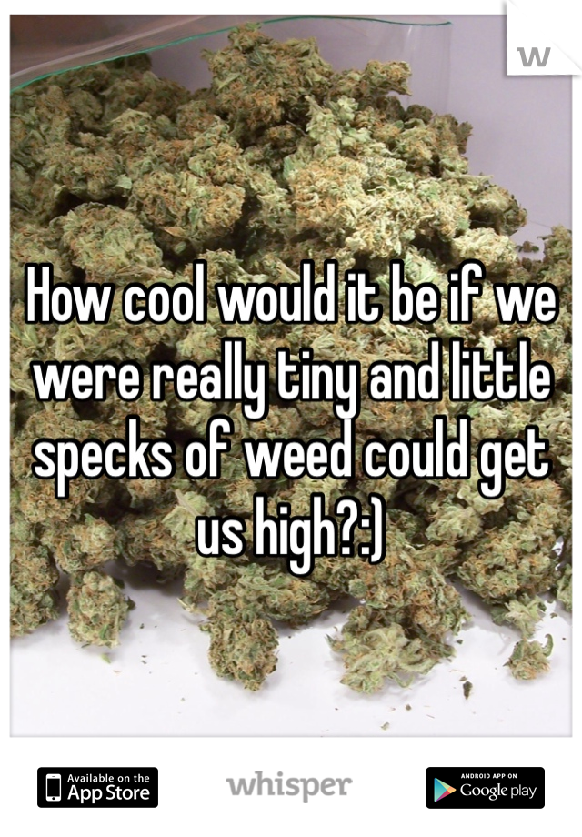 How cool would it be if we were really tiny and little specks of weed could get us high?:) 