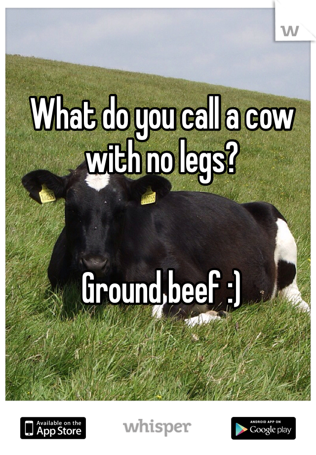 What do you call a cow with no legs?


Ground beef :) 