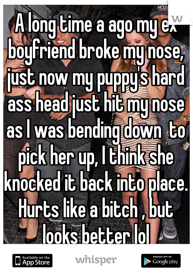 A long time a ago my ex boyfriend broke my nose, just now my puppy's hard ass head just hit my nose as I was bending down  to pick her up, I think she knocked it back into place. Hurts like a bitch , but looks better lol