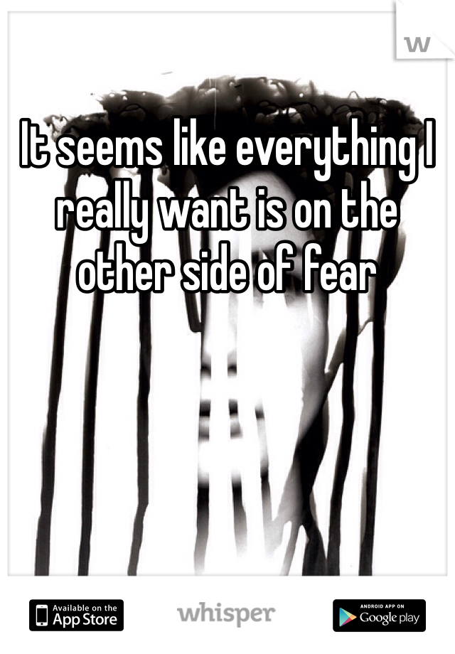 It seems like everything I really want is on the other side of fear 