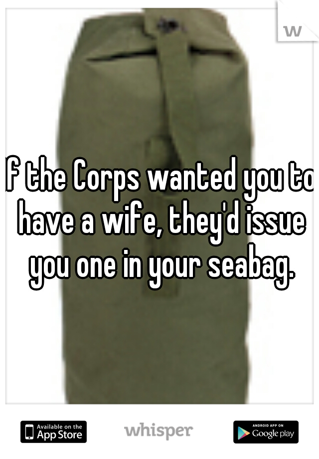 If the Corps wanted you to have a wife, they'd issue you one in your seabag.