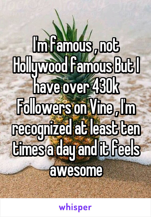 I'm famous , not Hollywood famous But I have over 430k Followers on Vine , I'm recognized at least ten times a day and it feels awesome