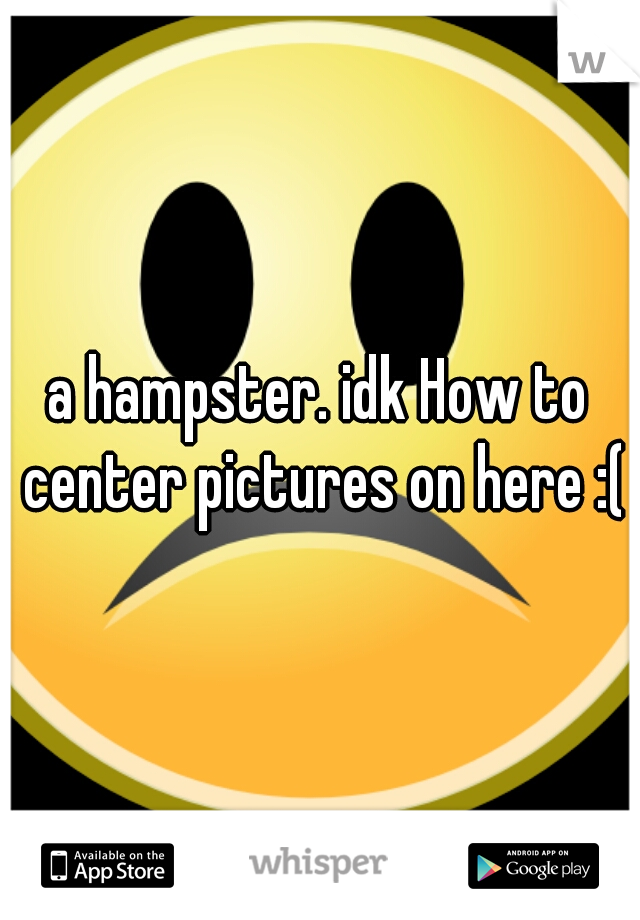 a hampster. idk How to center pictures on here :(